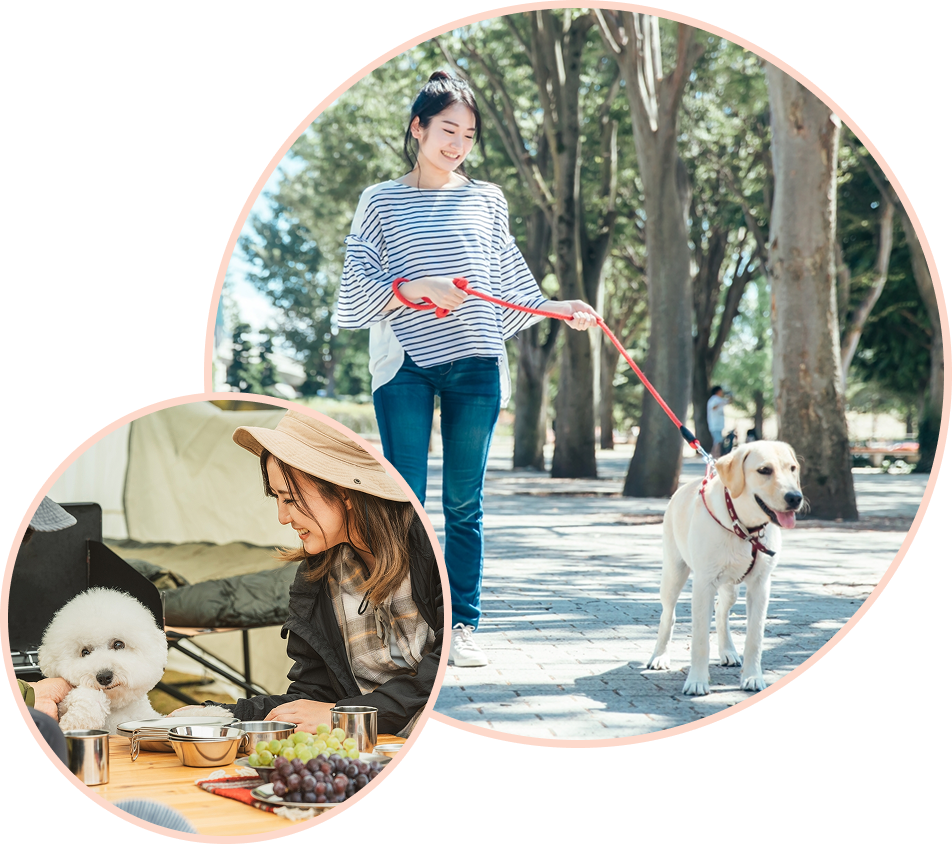 グランピング画像3