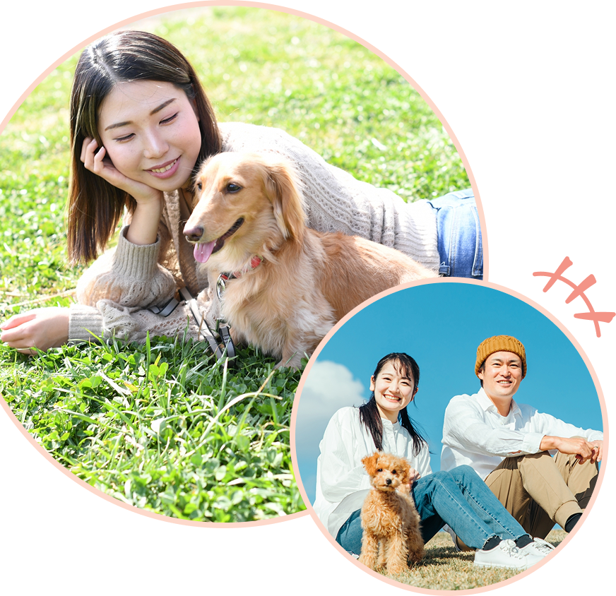 ペットホテルボトム画像1