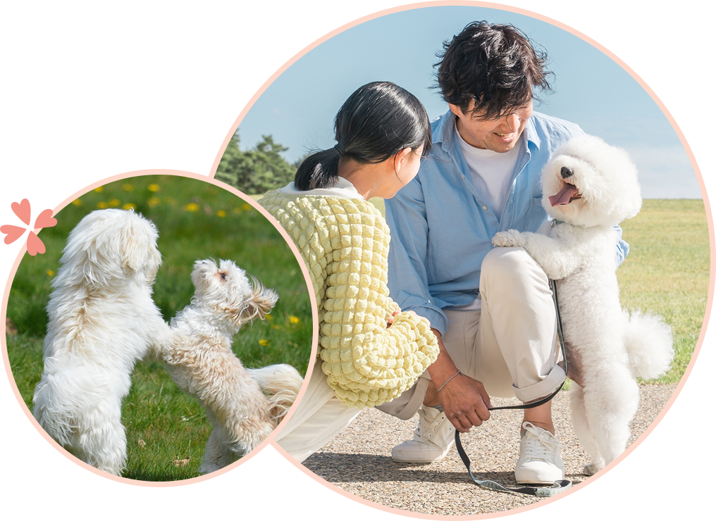 ペットオフ会画像1