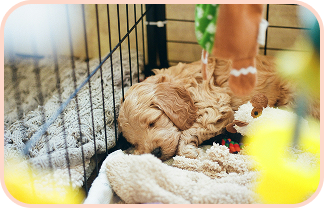 スタンダードプラン画像3