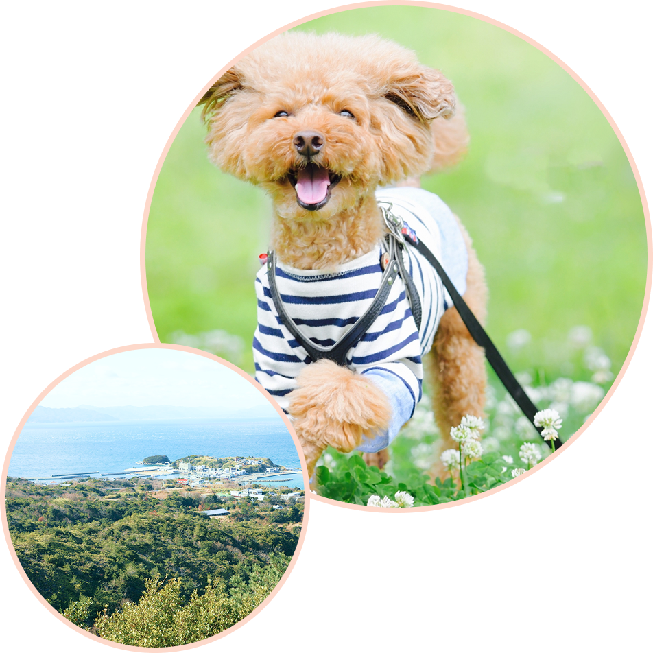 お預かりサービス画像1