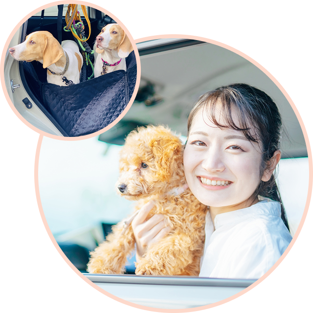 お預かりサービス画像2