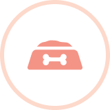 ステップ2アイコン